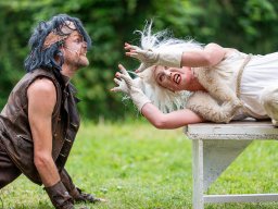 Die Bremer Stadtmusikanten